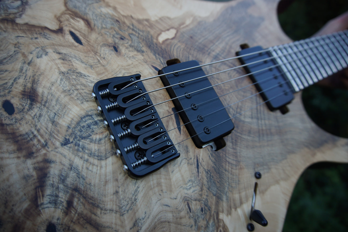 Magistra Buckeye Burl