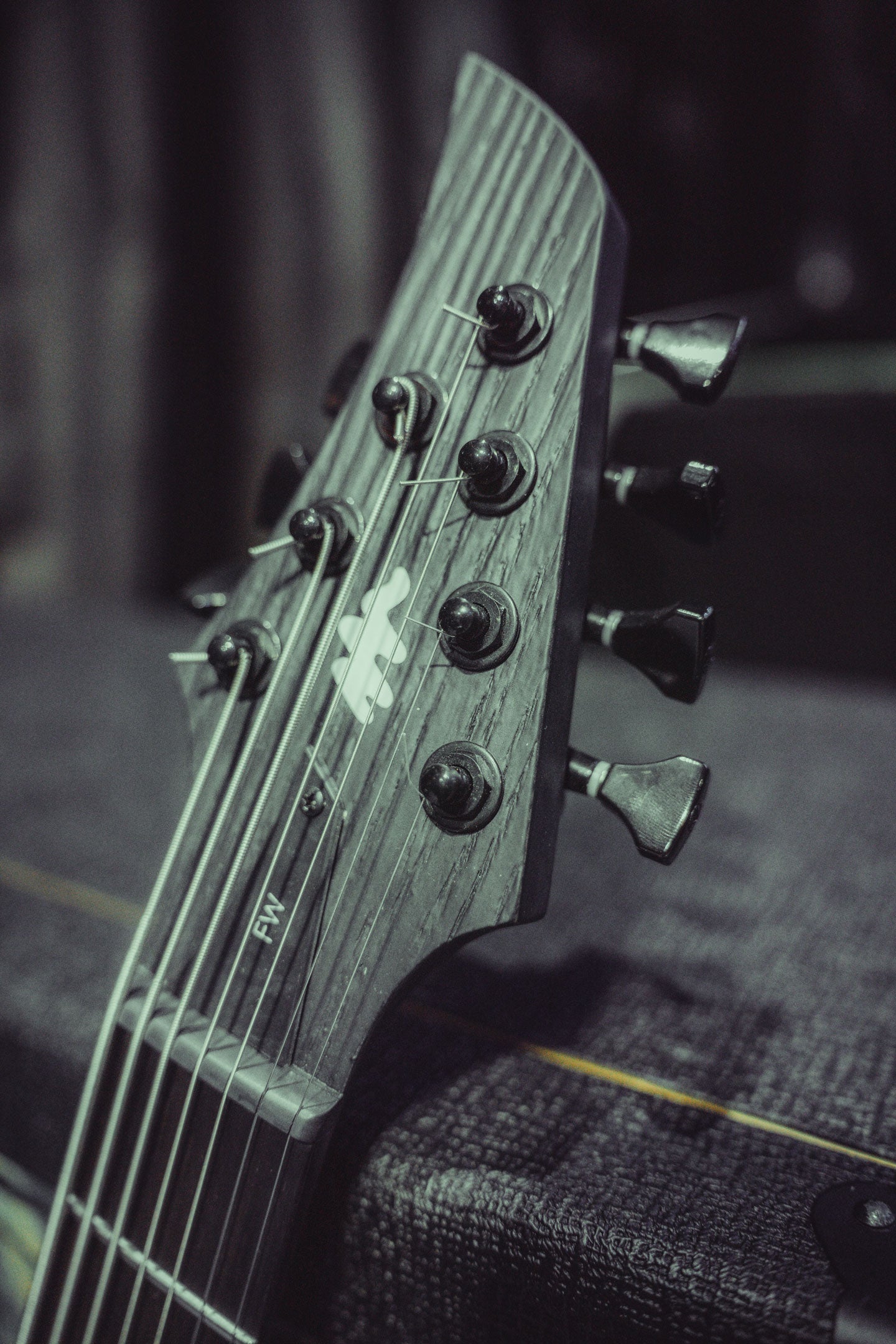 Fleshweaver Guitar - Secure your spot!