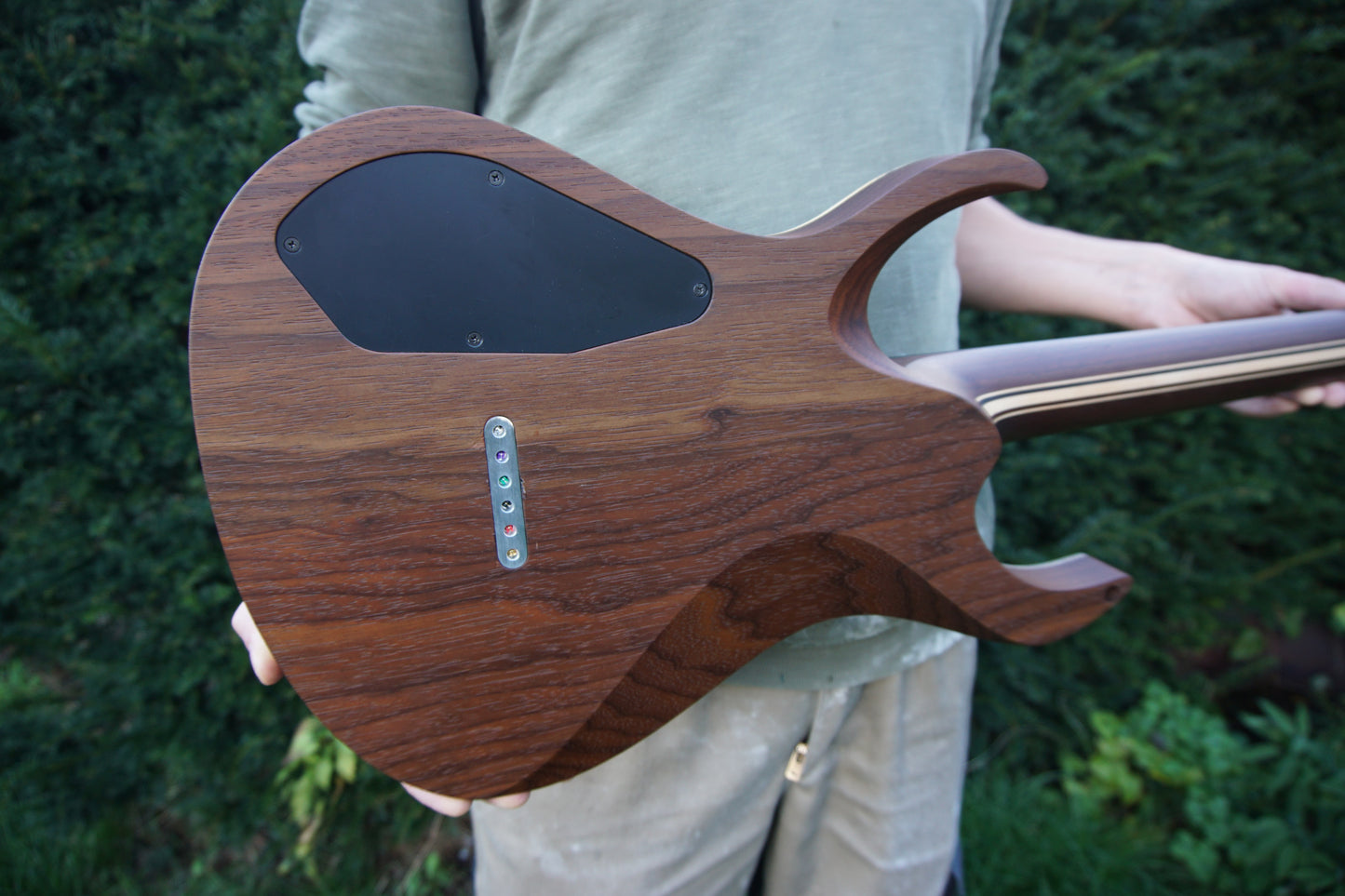 Magistra Buckeye Burl