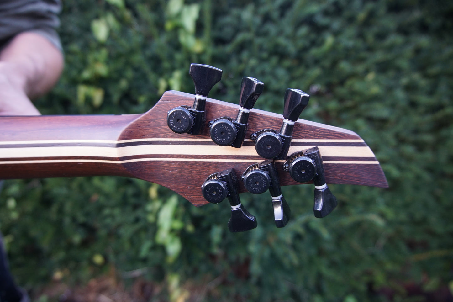 Magistra Buckeye Burl