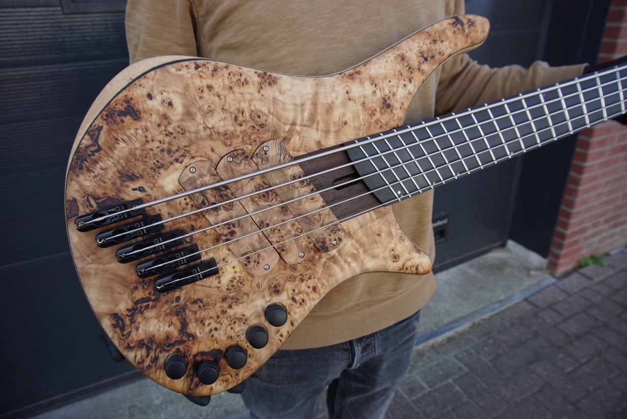 Maximus Poplar Burl