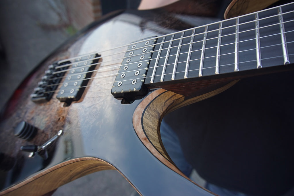 Magistra Maple Burl